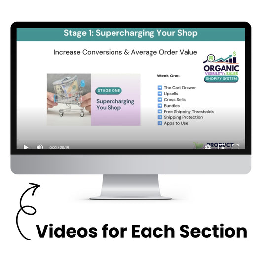 The Organic Visibility to Sales Shopify System